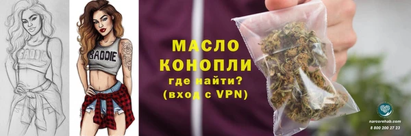 стаф Гусь-Хрустальный