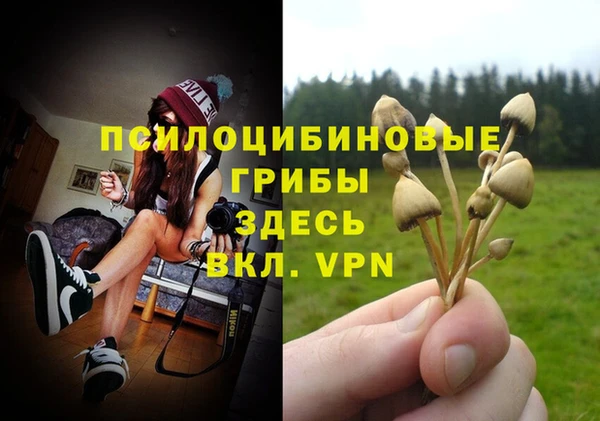 apvp Гусиноозёрск