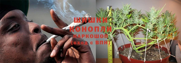 стаф Гусь-Хрустальный