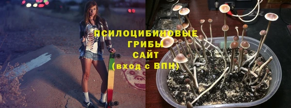 стаф Майский